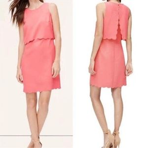 LOFT Scalloped Crop Illusion Dress